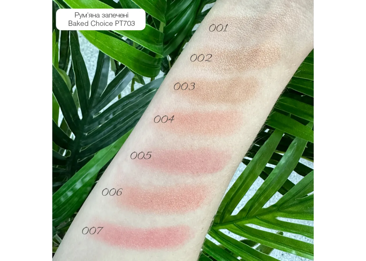 Baked Blush On Topface 