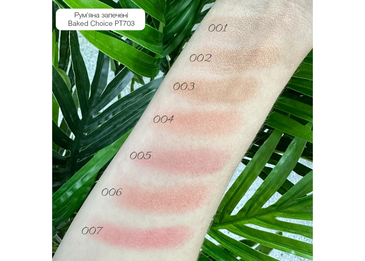 Baked Blush On Topface 