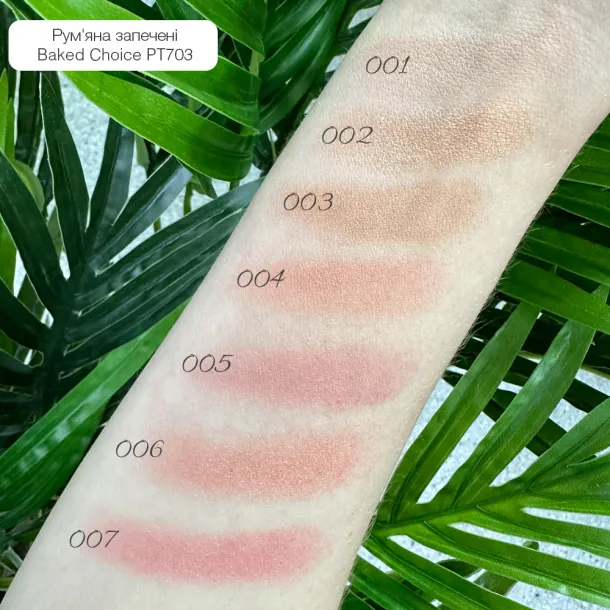 Baked Blush On Topface 