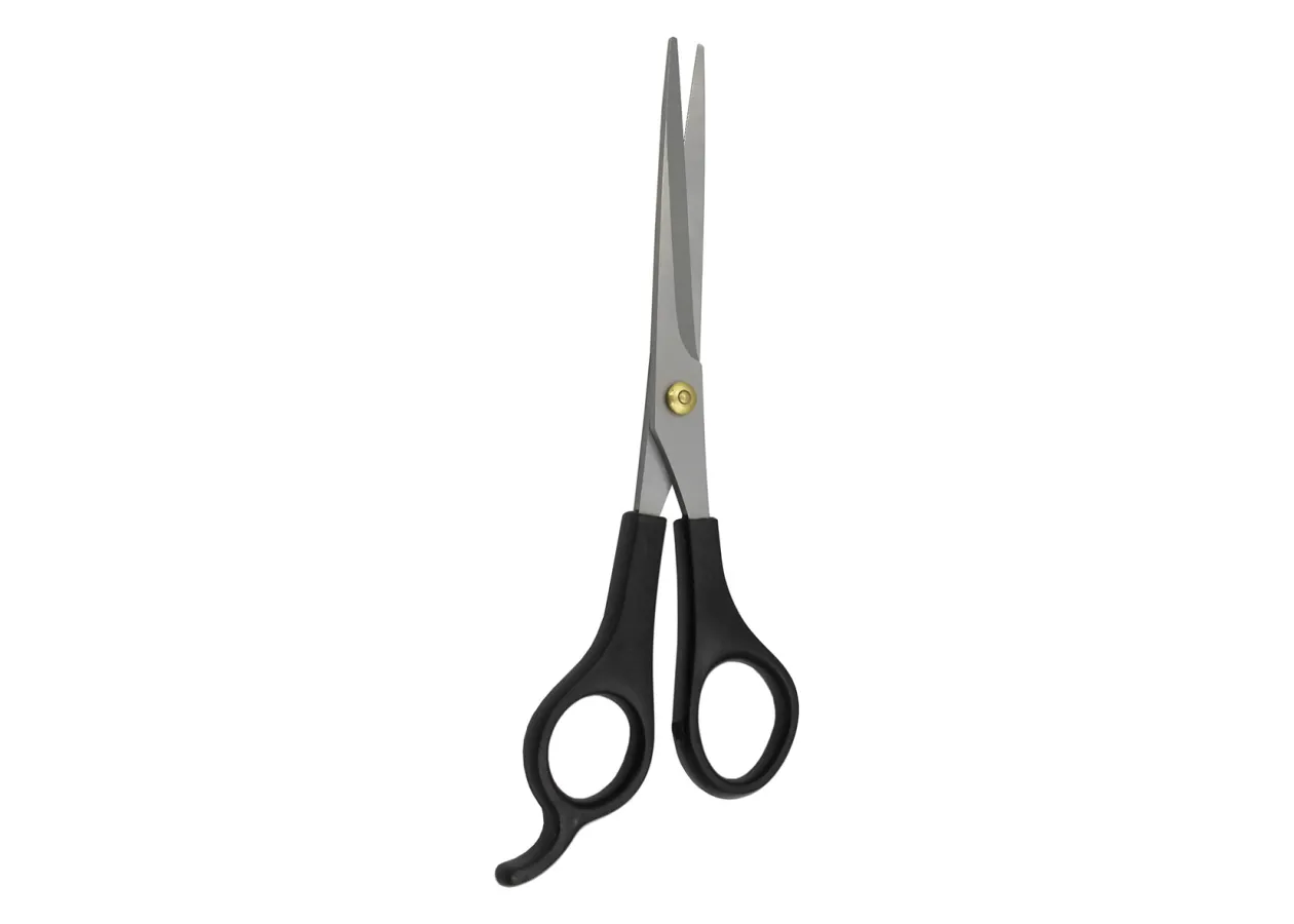Hairdressing scissors for hair cutting Luxury - NS01 (5.5'')