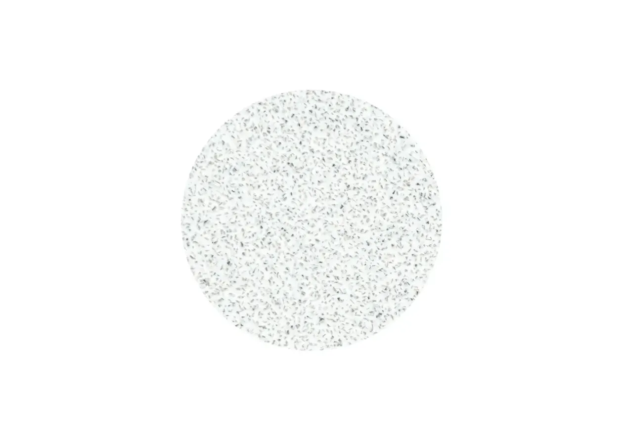 Replaceable white files on a soft base for a pedicure disc 20 mm Staleks - PDFS-20-80w (80 grit, 50 pcs) - Photo 2